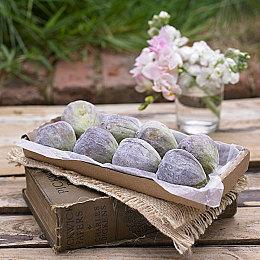 《污痕圣杯：阿瓦隆的陨落》Steam特别好评 在线峰值超2.5万